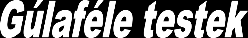 Gúlaféle -darab :int +térfogat():double return (alap()*magasság)/3 -darab :int Kúp #alap() :double -darab :int