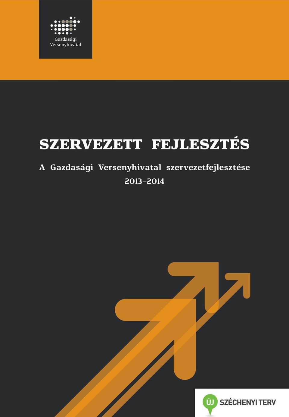 szervezetfejlesztése 2013