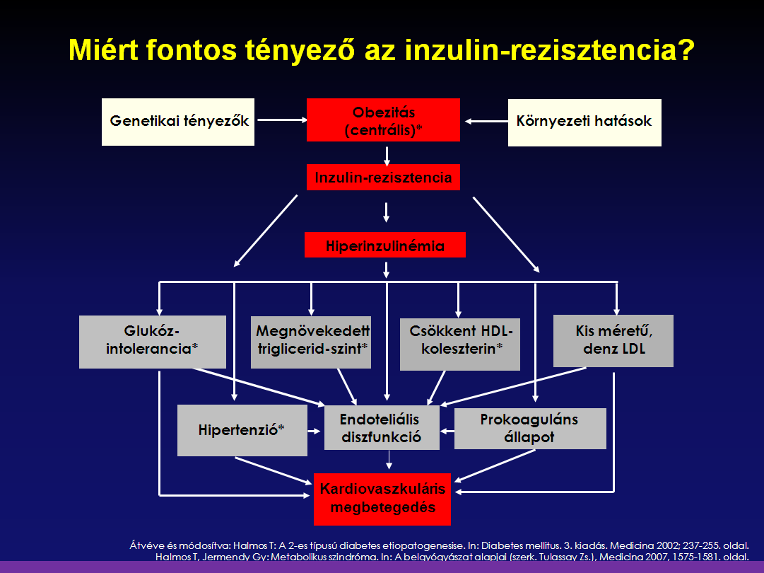 A centrális/abdominális (viscerális) obezitás és az inzulinrezisztencia a metabolikus szindróma alapvető összetevője.