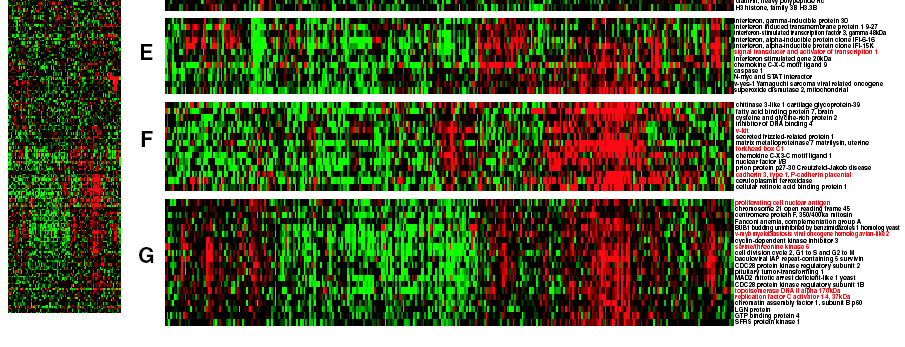 BMC Genomics