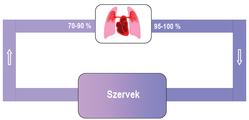 Miért is kell monitorozni? DO 2 = (SV HR) (Hgb 1.39 SaO 2 +0.