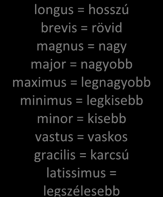 SZÓKINCS 9.1.1 Az izomnevek elemei (SZ) a) Mi közös jelentésileg a következő szócsoportokban? (e.g. funkció, méret, alak, etc.