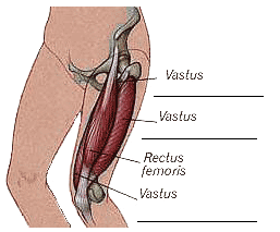 kép: http://healthylifeinstitute.org/2012/01/ 5.