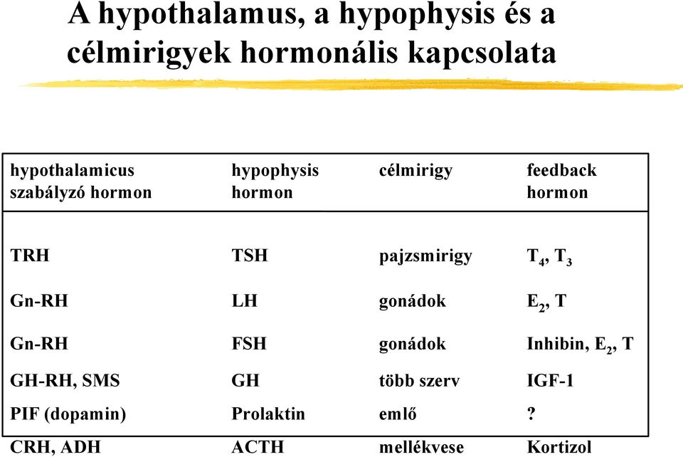 TSH pajzsmirigy T 4, T 3 Gn-RH LH gonádok E 2, T Gn-RH FSH gonádok Inhibin, E 2,