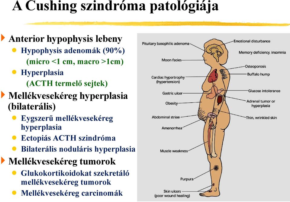 Eygszerű mellékvesekéreg hyperplasia Ectopiás ACTH szindróma Bilaterális noduláris hyperplasia