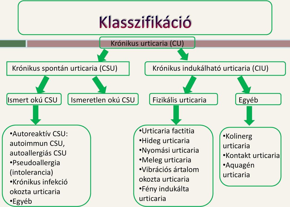 (intolerancia) Krónikus infekció okozta urticaria Egyéb Urticaria factitia Hideg urticaria Nyomási urticaria Meleg