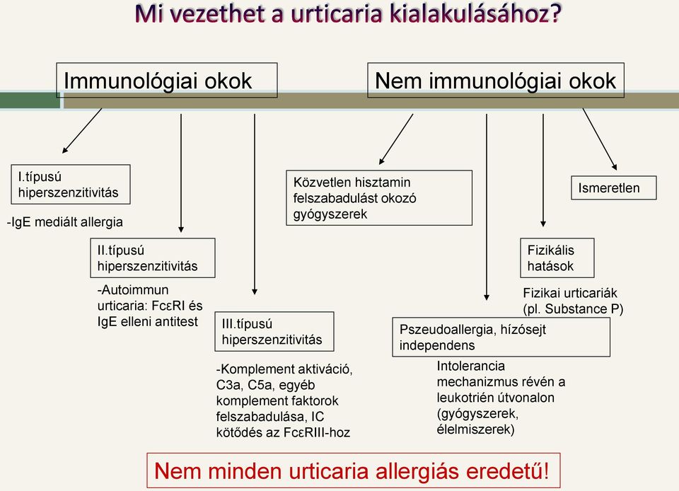 típusú hiperszenzitivitás -Autoimmun urticaria: FcεRI és IgE elleni antitest III.