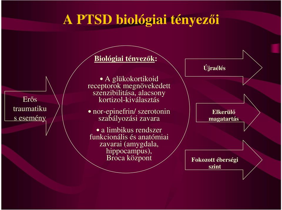 nor-epinefrin/ szerotonin szabályozási zavara a limbikus rendszer funkcionális és