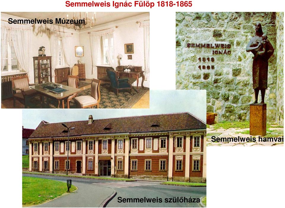 1818-1865 Semmelweis