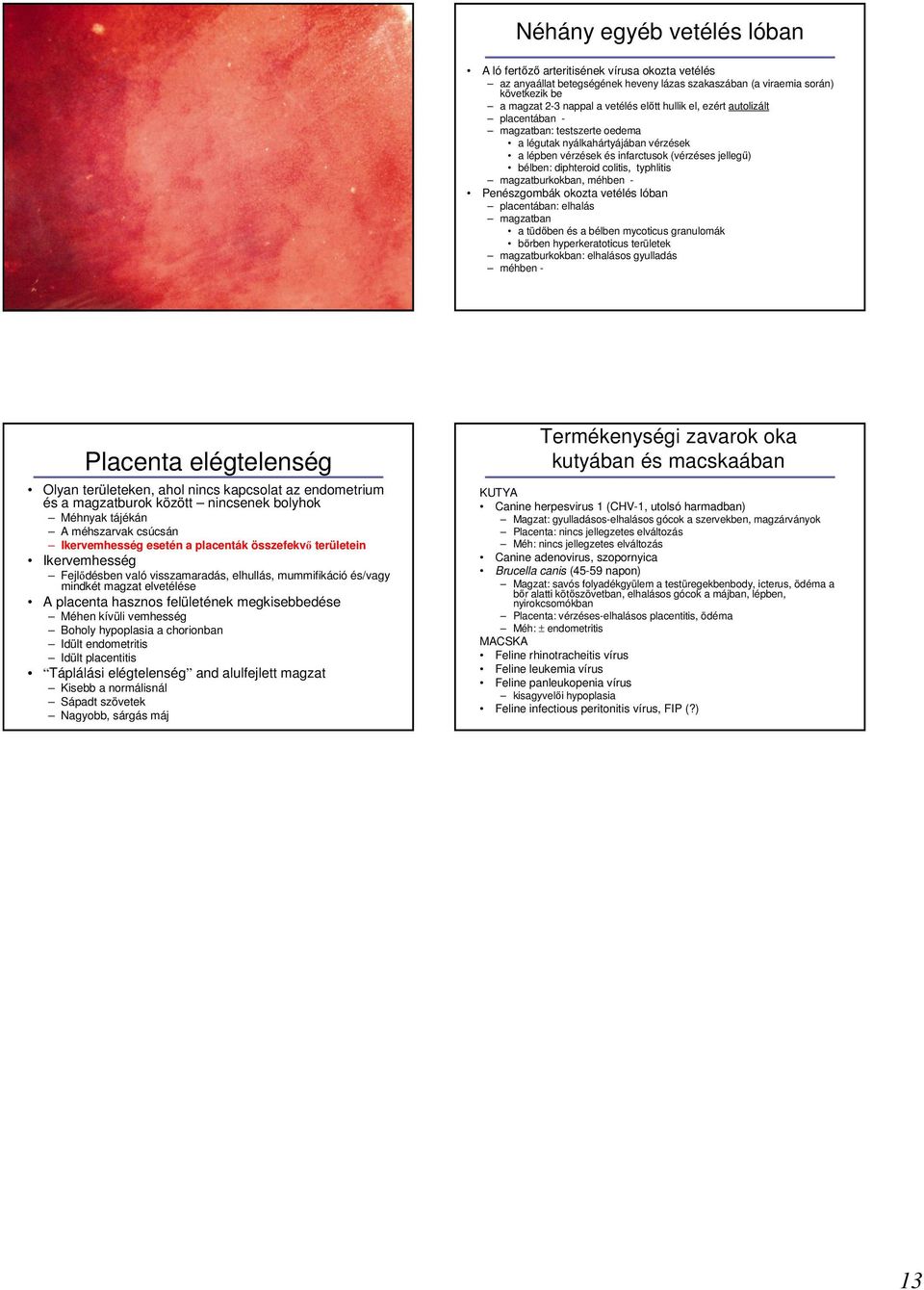 magzatburkokban, méhben - Penészgombák okozta vetélés lóban placentában: elhalás magzatban a tüdıben és a bélben mycoticus granulomák bırben hyperkeratoticus területek magzatburkokban: elhalásos