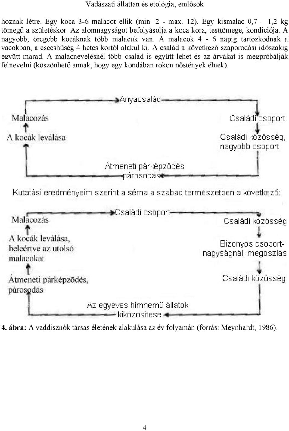 A malacok 4-6 napig tartózkodnak a vacokban, a csecshűség 4 hetes kortól alakul ki. A család a következő szaporodási időszakig együtt marad.