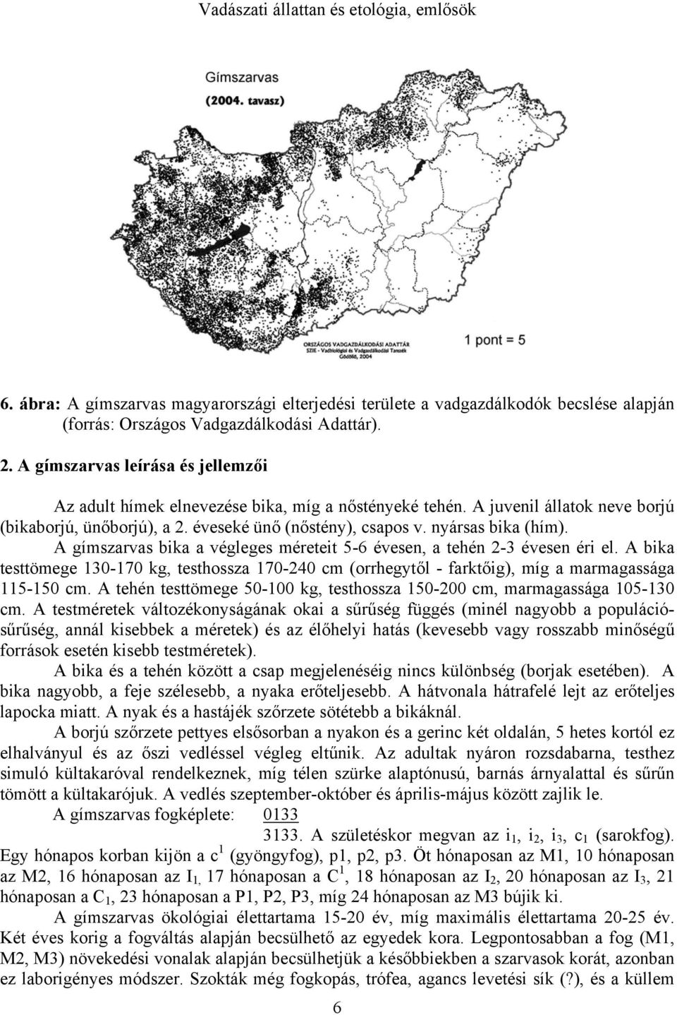 A gímszarvas bika a végleges méreteit 5-6 évesen, a tehén 2-3 évesen éri el. A bika testtömege 130-170 kg, testhossza 170-240 cm (orrhegytől - farktőig), míg a marmagassága 115-150 cm.