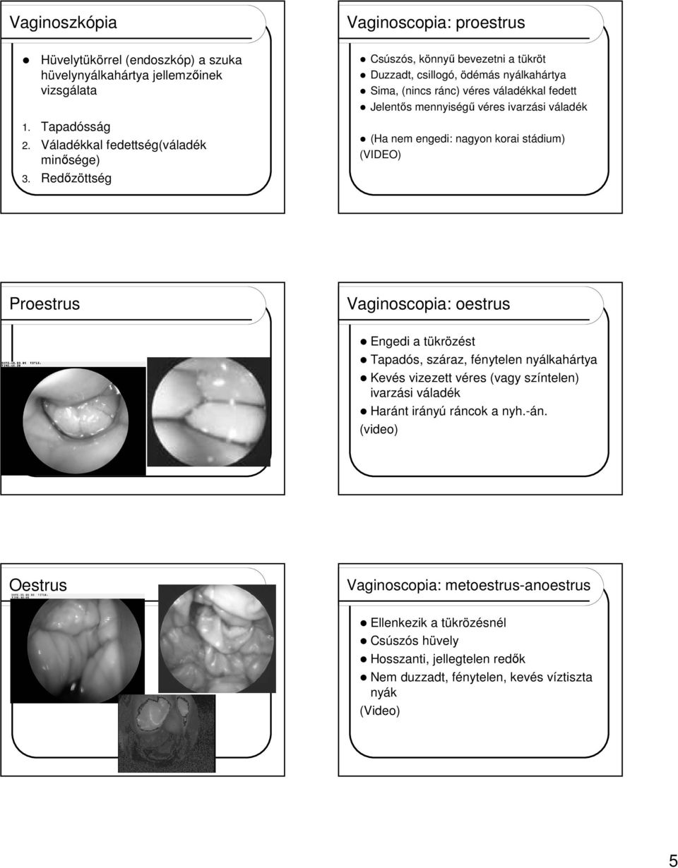 engedi: nagyon korai stádium) (VIDEO) Proestrus Vaginoscopia: oestrus Engedi a tükrözést Tapadós, száraz, fénytelen nyálkahártya Kevés vizezett véres (vagy színtelen) ivarzási váladék