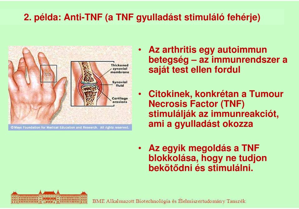 konkrétan a Tumour Necrosis Factor (TNF) stimulálják az immunreakciót, ami a
