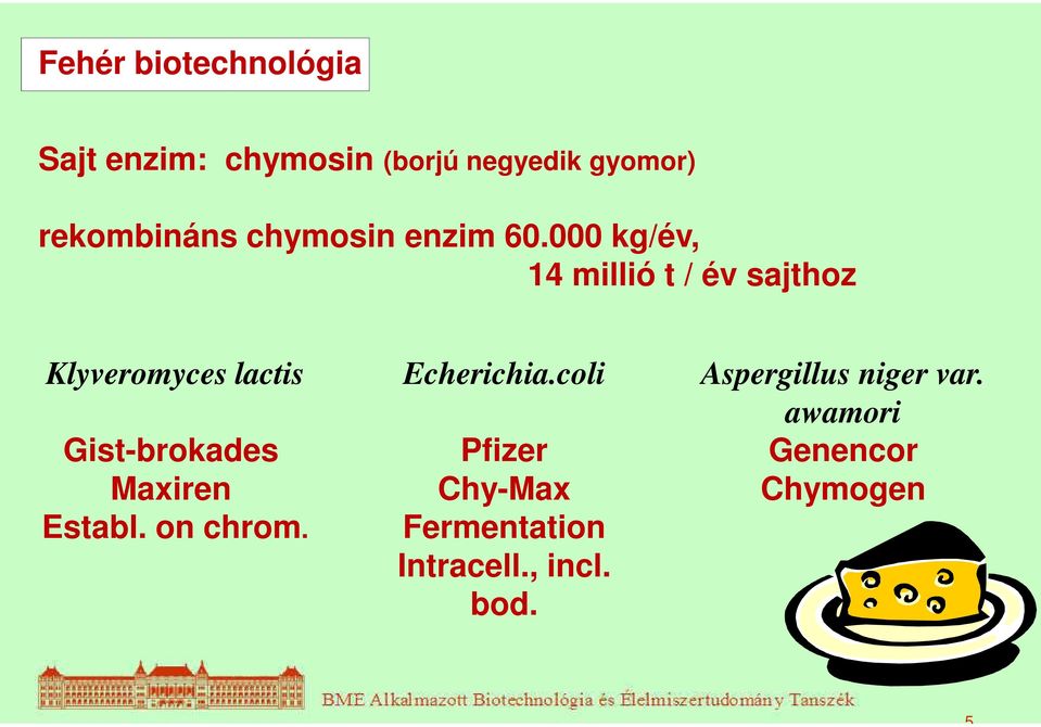 000 kg/év, 14 millió t / év sajthoz Klyveromyces lactis Echerichia.