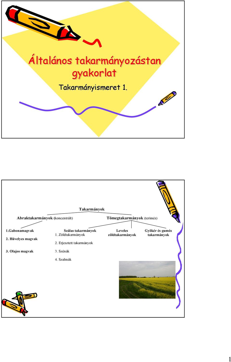 Gabonamagvak 2. Hüvelyes magvak Szálas takarmányok 1. Zöldtakarmányok 2.