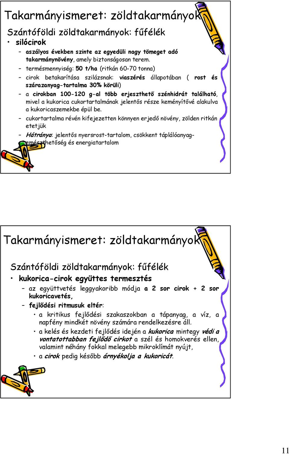 található, mivel a kukorica cukortartalmának jelentős része keményítővé alakulva a kukoricaszemekbe épül be.