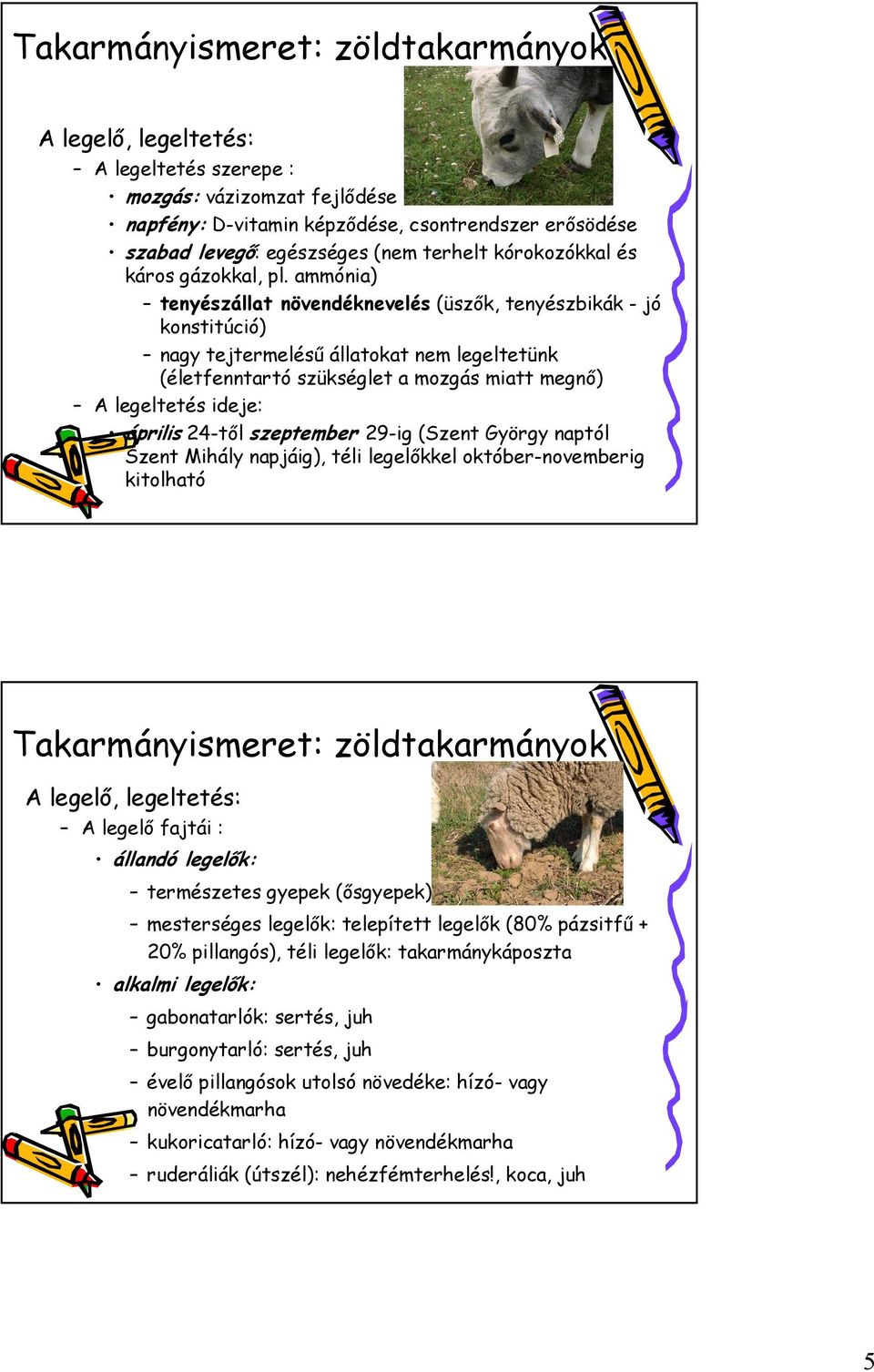 április 24-től szeptember 29-ig (Szent György naptól Szent Mihály napjáig), téli legelőkkel október-novemberig kitolható A legelő, legeltetés: A legelő fajtái : állandó legelők: természetes gyepek