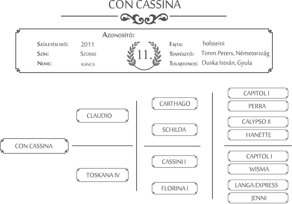 CON CASSINA CLAUDIO TOSKANA IV CARTHAGO SCHILDA CASSINI