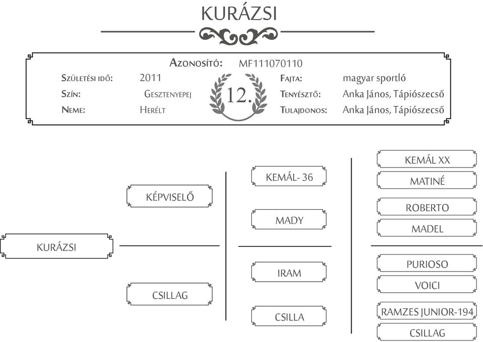 Tápiószecső KURÁZSI KÉPVISELŐ CSILLAG KEMÁL- 36 MADY IRAM