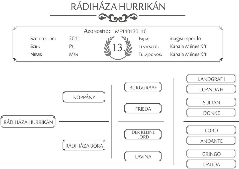 HURRIKÁN KOPPÁNY RÁDIHÁZA BÓRA BURGGRAAF FRIEDA DER KLEINE