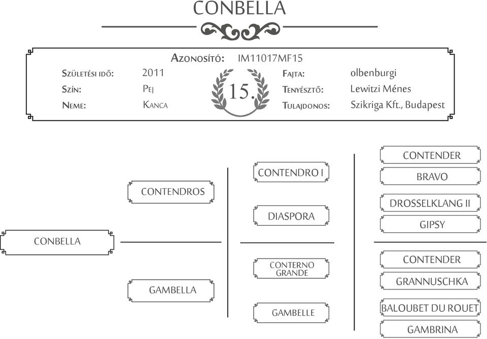 , Budapest CONBELLA CONTENDROS GAMBELLA CONTENDRO I DIASPORA