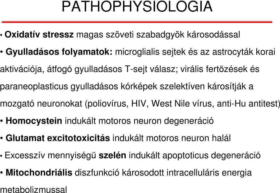 neuronokat (poliovírus, HIV, West Nile vírus, anti-hu antitest) Homocystein indukált motoros neuron degeneráció Glutamat excitotoxicitás indukált