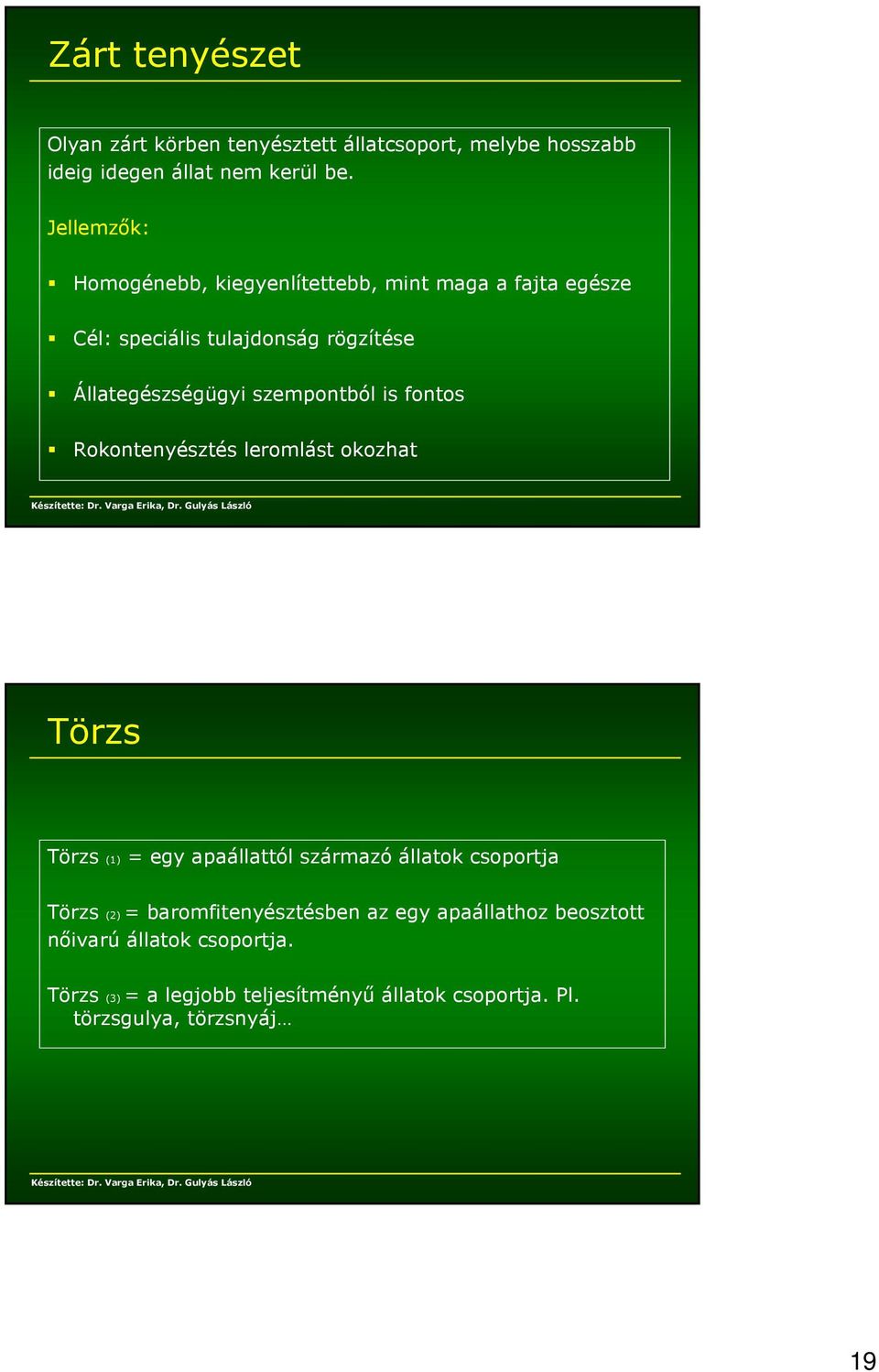 szempontból is fontos Rokontenyésztés leromlást okozhat Törzs Törzs (1) = egy apaállattól származó állatok csoportja Törzs (2) =