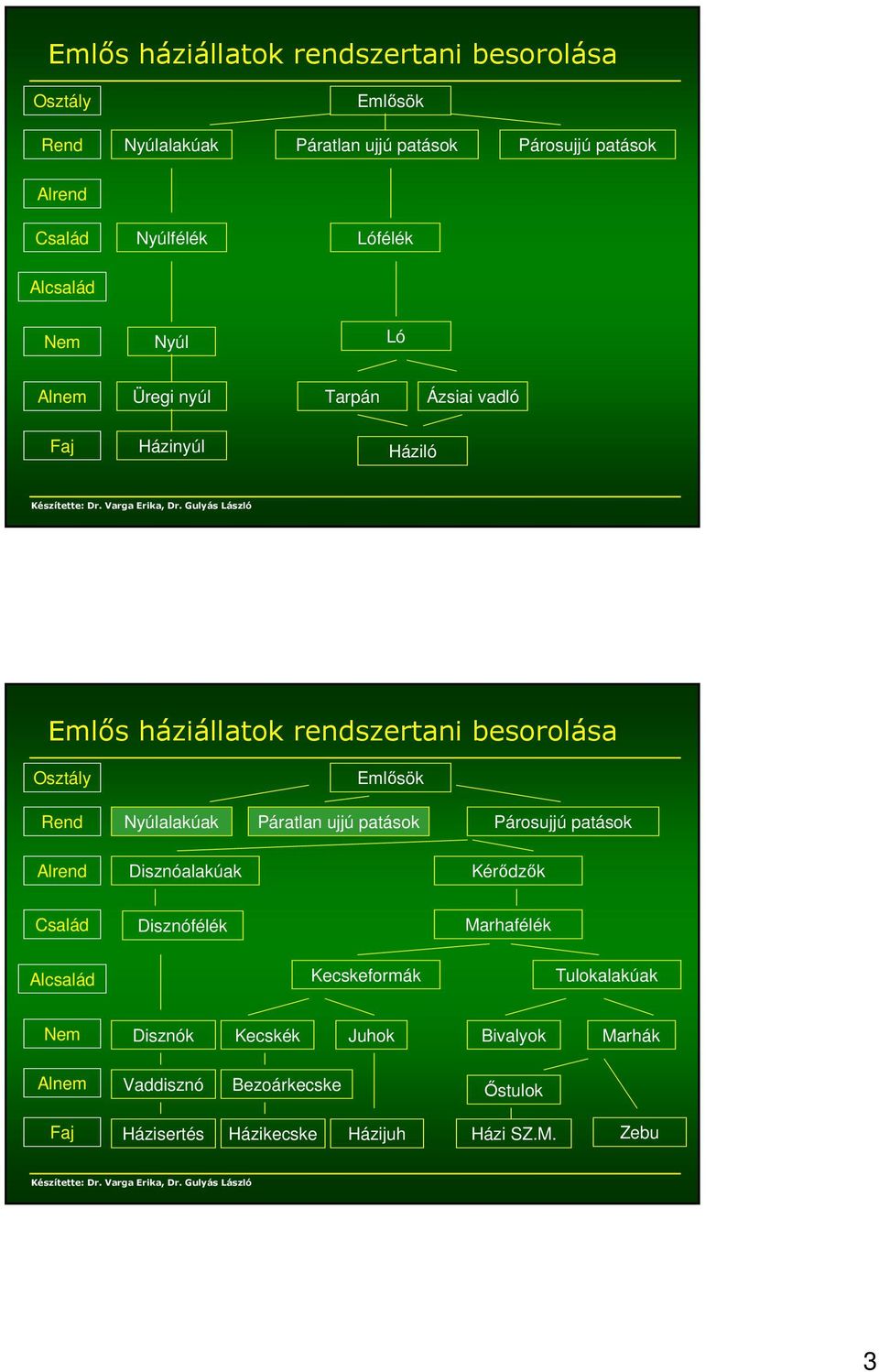 Emlősök Nyúlalakúak Páratlan ujjú patások Párosujjú patások Alrend Disznóalakúak Kérődzők Család Disznófélék Marhafélék Alcsalád Kecskeformák