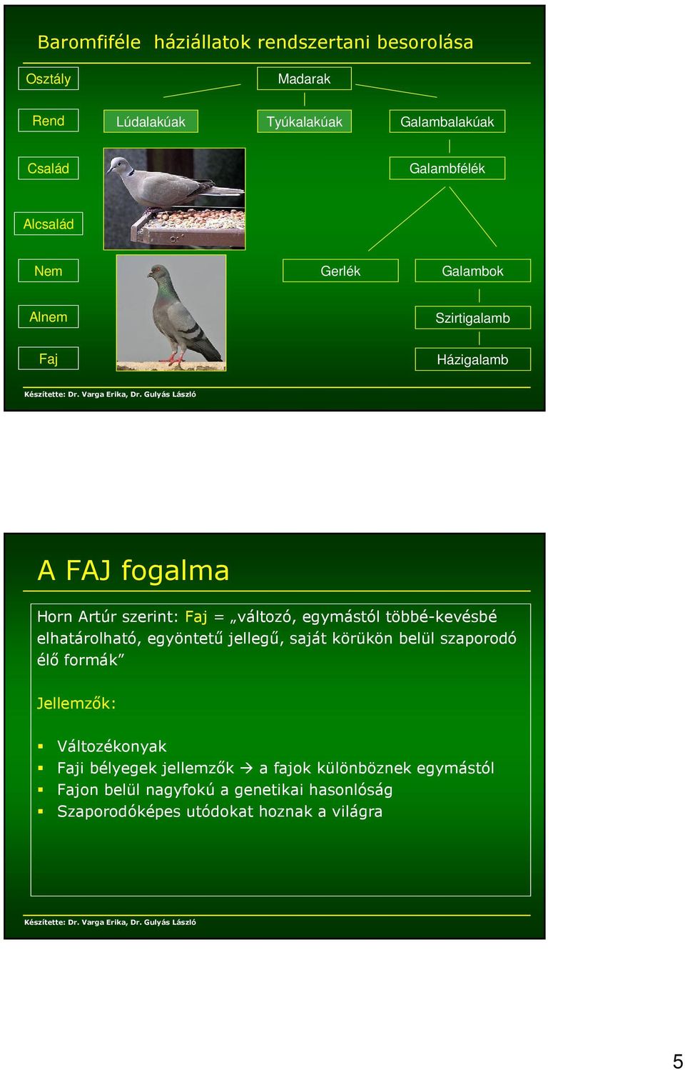 többé-kevésbé elhatárolható, egyöntetű jellegű, saját körükön belül szaporodó élő formák Jellemzők: Változékonyak Faji