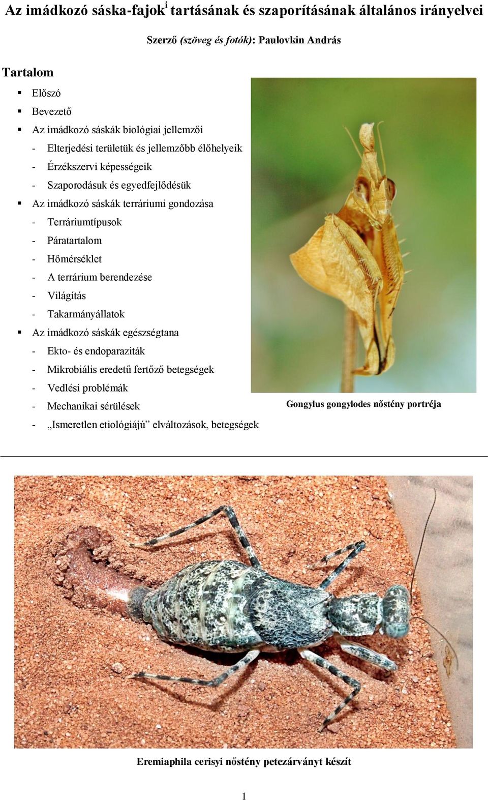 - Páratartalom - Hőmérséklet - A terrárium berendezése - Világítás - Takarmányállatok Az imádkozó sáskák egészségtana - Ekto- és endoparaziták - Mikrobiális eredetű fertőző