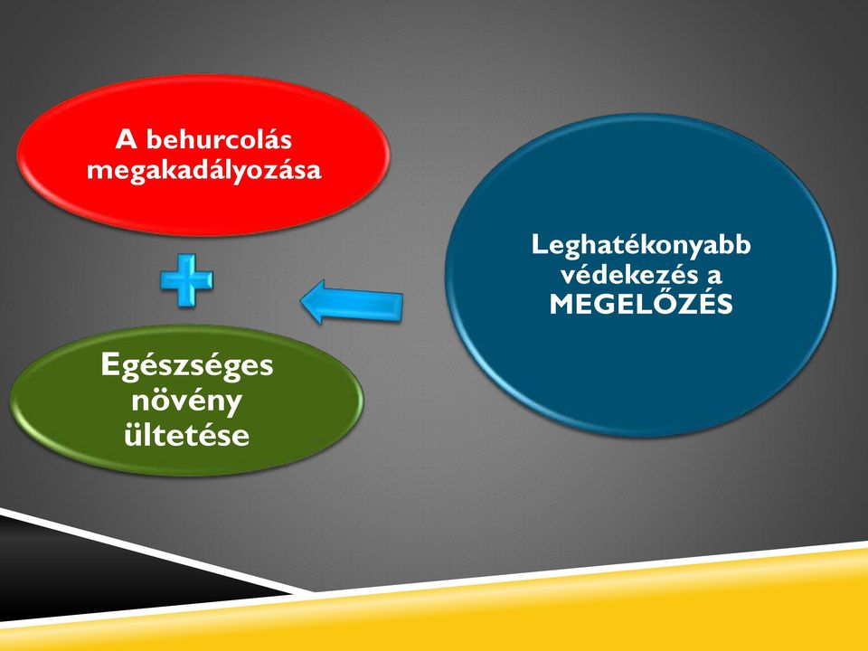 Leghatékonyabb