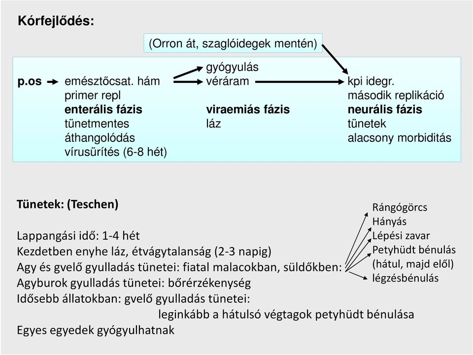 Tünetek: (Teschen) Rángógörcs Hányás Lépési zavar Petyhüdt bénulás (hátul, majd elől) légzésbénulás Lappangási idő: 1-4 hét Kezdetben enyhe láz, étvágytalanság