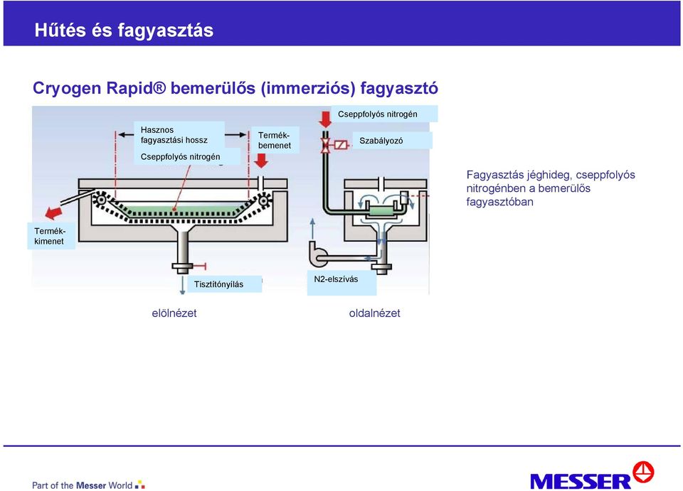 Fagyasztás jéghideg, cseppfolyós nitrogénben a bemerülős