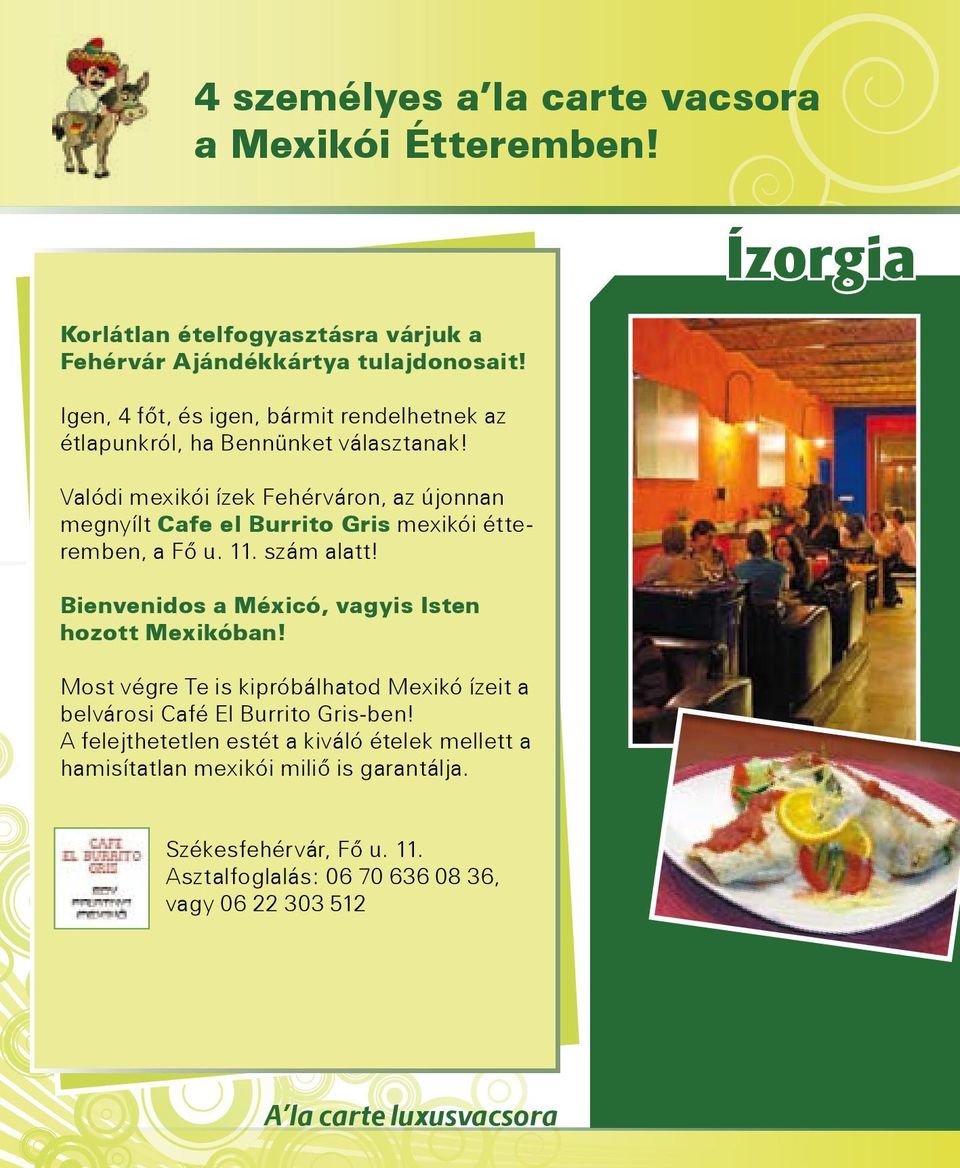 Valódi mexikói ízek Fehérváron, az újonnan megnyílt Cafe el Burrito Gris mexikói étteremben, a Fő u. 11. szám alatt!