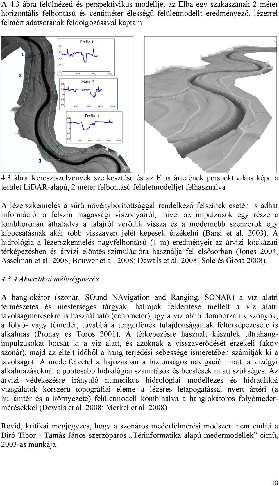 3 ábra Keresztszelvények szerkesztése és az Elba árterének perspektivikus képe a terület LiDAR-alapú, 2 méter felbontású felületmodelljét felhasználva A lézerszkennelés a sűrű növényborítottsággal