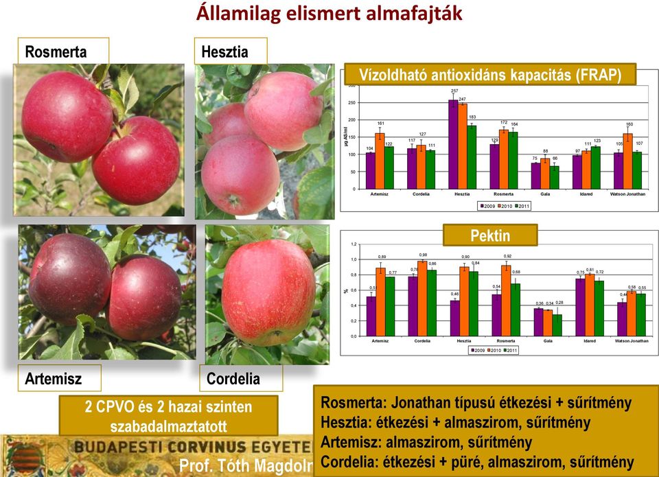 0,6 0,4 0,51 0,46 0,54 0,36 0,34 0,28 0,44 0,58 0,55 0,2 0,0 Artemisz Cordelia Hesztia Rosmerta Gala Idared Watson Jonathan 2009 2010 2011 Artemisz Cordelia 2 CPVO és 2 hazai szinten