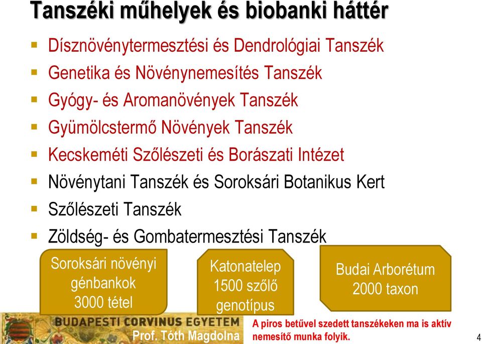 és Soroksári Botanikus Kert Szőlészeti Tanszék Zöldség- és Gombatermesztési Tanszék Soroksári növényi génbankok 3000 tétel