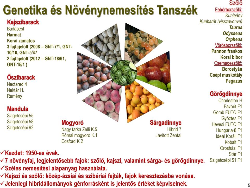 7 növényfaj, legjelentősebb fajok: szőlő, kajszi, valamint sárga- és görögdinnye. Széles nemesítési alapanyag használata. Kajszi és szőlő: közép-ázsiai és szibériai fajták, fajok keresztezésbe vonása.