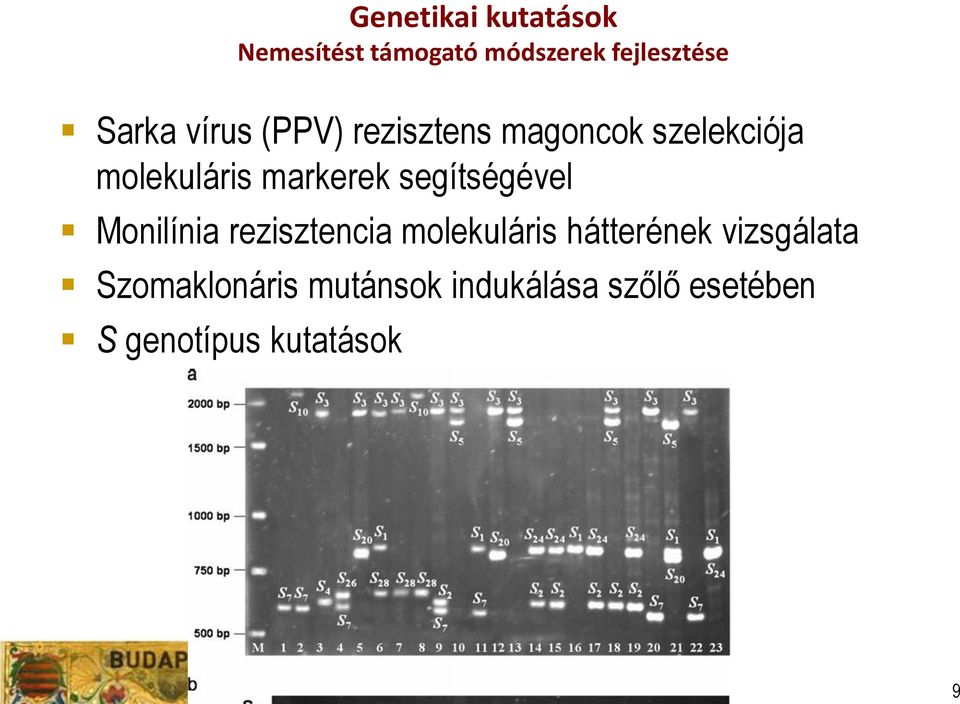 Monilínia rezisztencia molekuláris hátterének vizsgálata Szomaklonáris