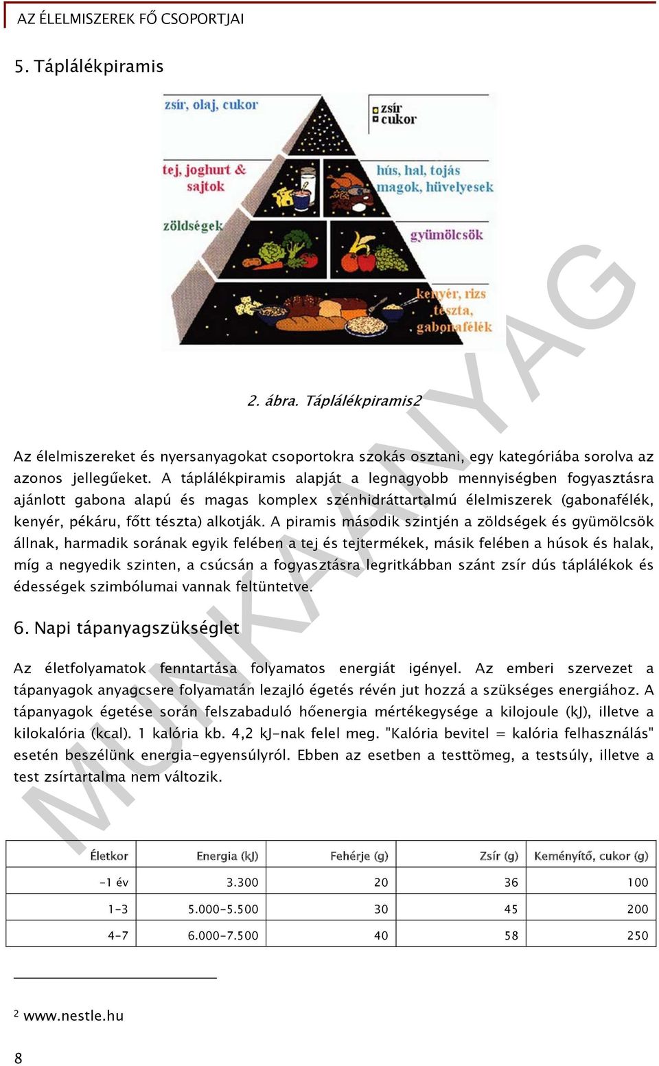 A piramis második szintjén a zöldségek és gyümölcsök állnak, harmadik sorának egyik felében a tej és tejtermékek, másik felében a húsok és halak, míg a negyedik szinten, a csúcsán a fogyasztásra