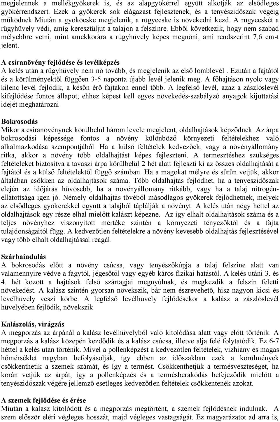 A rügyecskét a rügyhüvely védi, amíg keresztüljut a talajon a felszínre. Ebből következik, hogy nem szabad mélyebbre vetni, mint amekkorára a rügyhüvely képes megnőni, ami rendszerint 7,6 cm-t jelent.