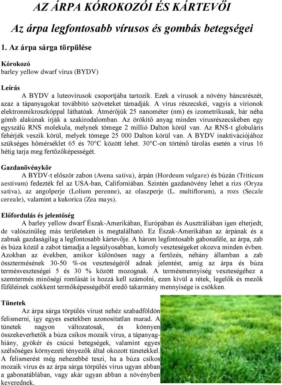 Átmérőjük 25 nanométer (nm) és izometrikusak, bár néha gömb alakúnak írják a szakirodalomban.