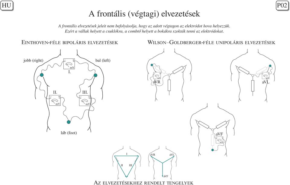 Ezért a vállak helyett a csuklókra, a combtő helyett a bokákra szokták tenni az elektródokat.