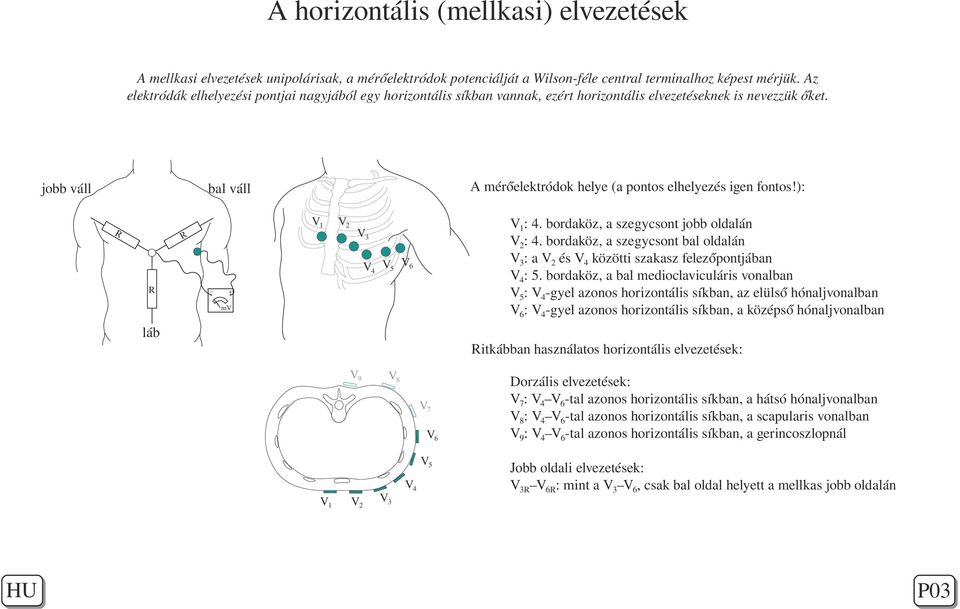 ): bal váll V1 R R V2 V1: 4. bordaköz, a szegycsont jobb oldalán V2: 4. bordaköz, a szegycsont bal oldalán V3: a V2 és V4 közötti szakasz felezőpontjában V4: 5.