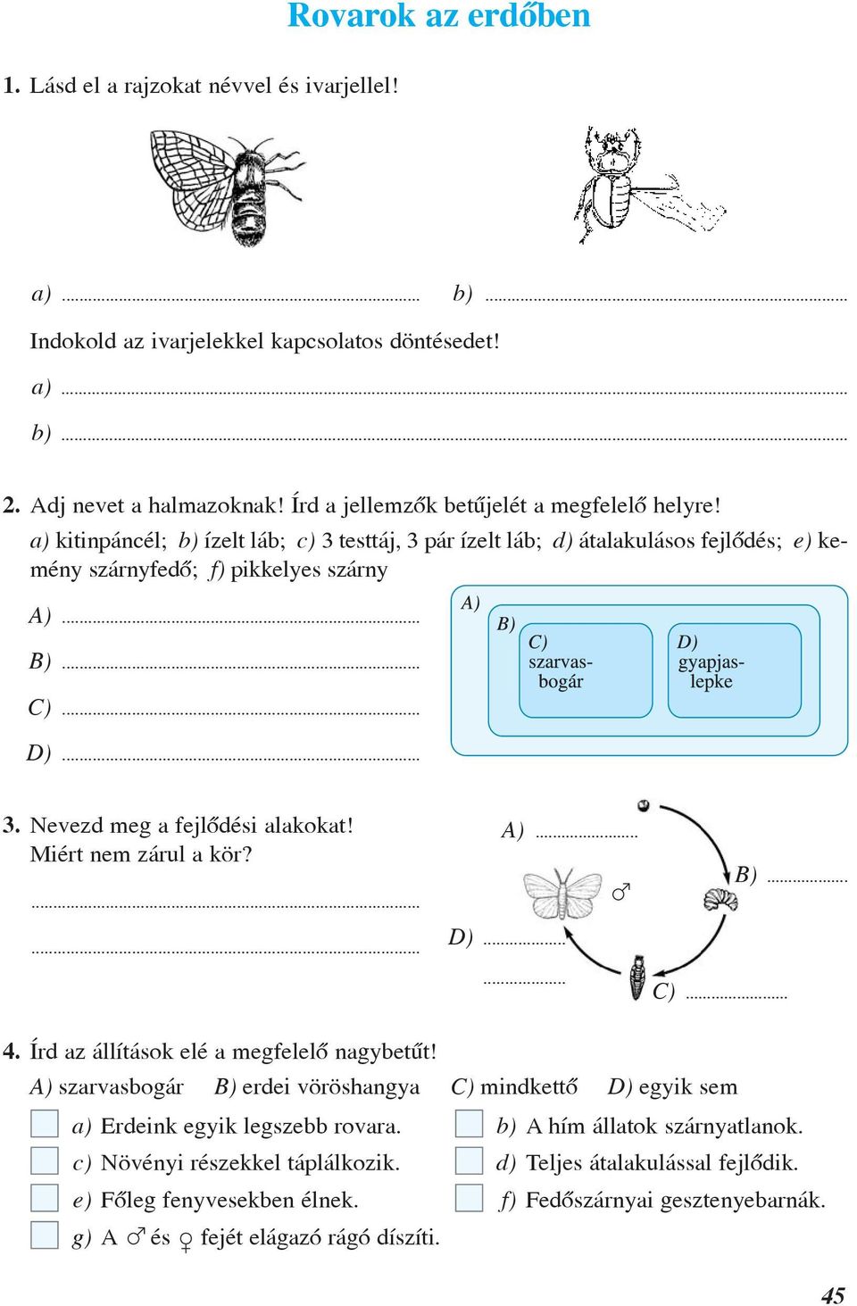 Miért nem zárul a kör?...... A)... D)... D)... C)... B)... 4. Írd az állítások elé a megfelelô nagybetût!