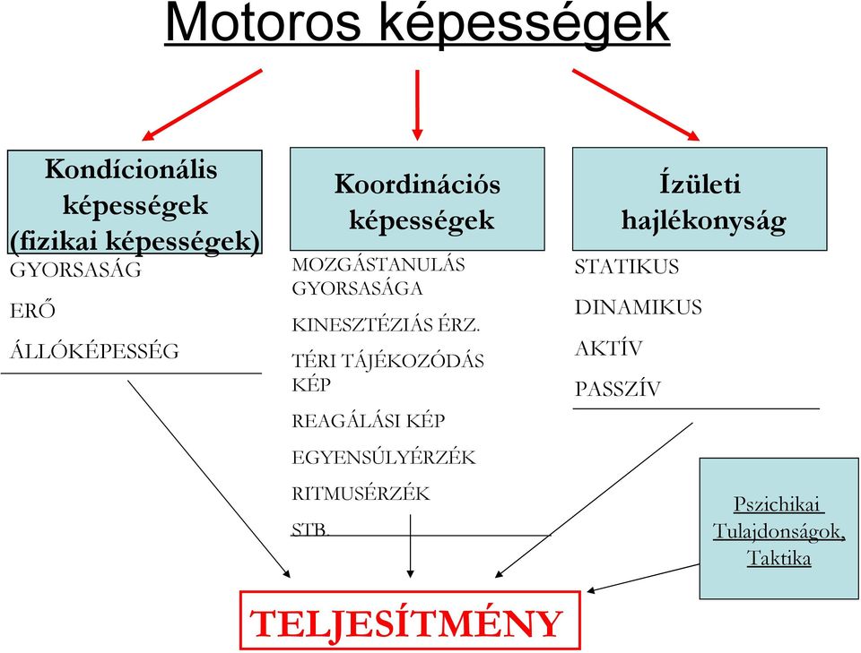 TÉRI TÁJÉKOZÓDÁS KÉP REAGÁLÁSI KÉP EGYENSÚLYÉRZÉK RITMUSÉRZÉK STB.