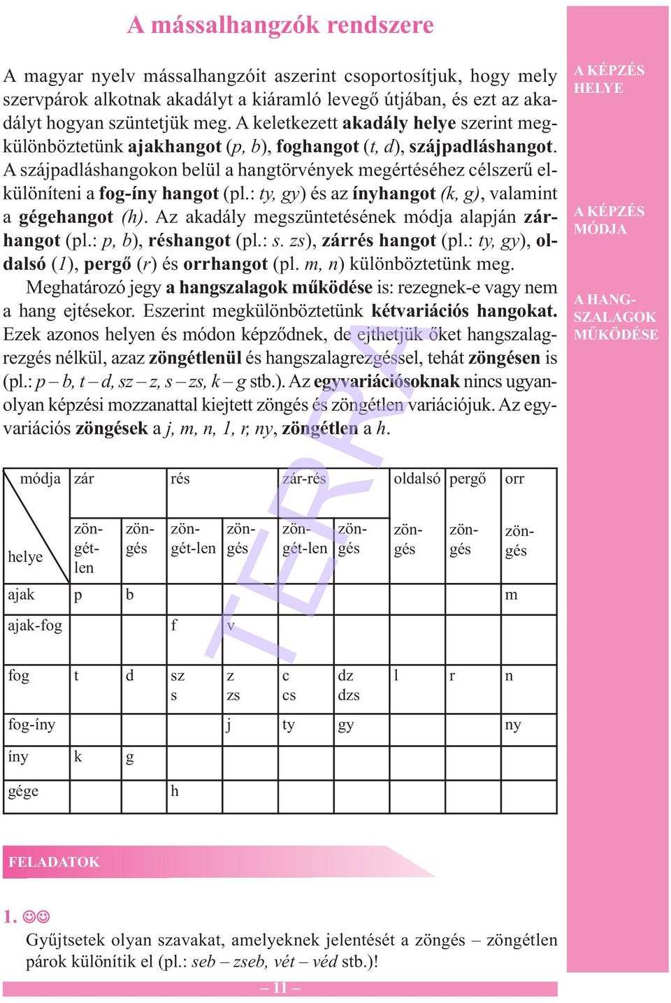 A szájpadláshangokon belül a hangtörvények megértéséhez célszerű elkülöníteni a fog-íny hangot (pl.: ty, gy) és az ínyhangot (k, g), valamint a gégehangot (h).