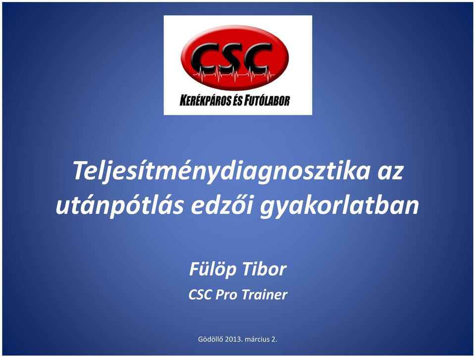 gyakorlatban Fülöp Tibor