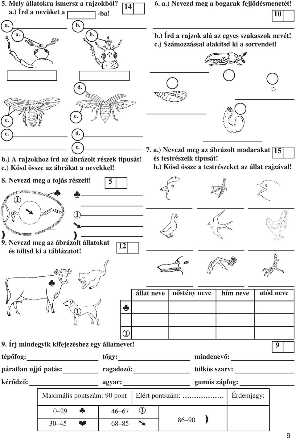 . Nevezd meg az ábrázolt állatokat és töltsd ki a táblázatot! e.. a.) Nevezd meg az ábrázolt madarakat és testrészeik tipusát! b.) Kösd össze a testrészeket az állat rajzával!